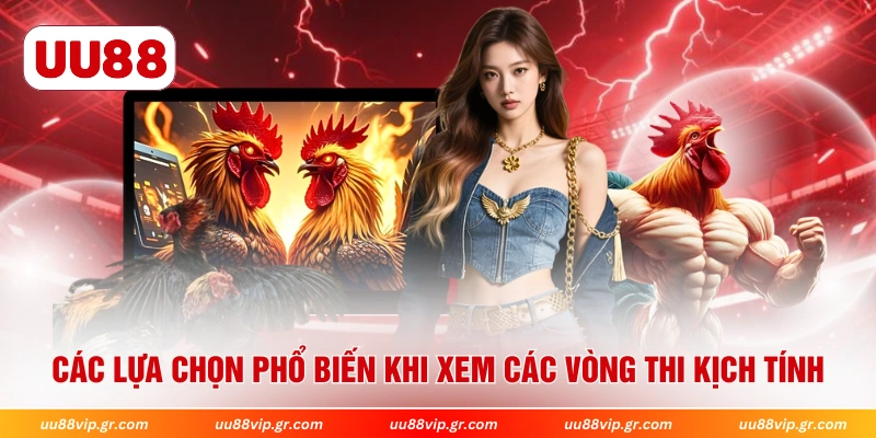Các lựa chọn phổ biến khi xem các vòng thi kịch tính 