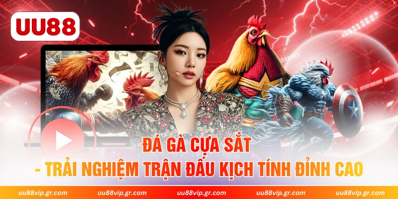 Đá Gà Cựa Sắt - Trải Nghiệm Trận Đấu Kịch Tính Đỉnh Cao