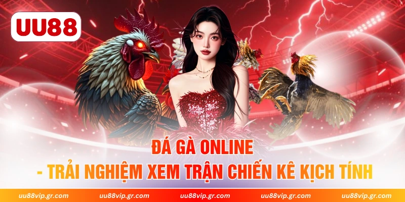 Đá Gà Online - Trải Nghiệm Xem Trận Chiến Kê Kịch Tính
