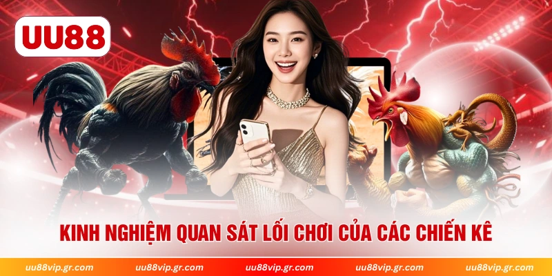  Kinh nghiệm quan sát lối chơi của các chiến kê 